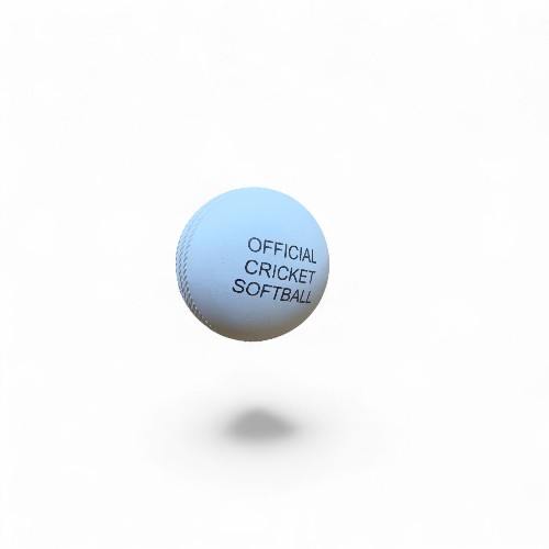 Cricket Soft Ball - White_69740804c3a4a.jpg